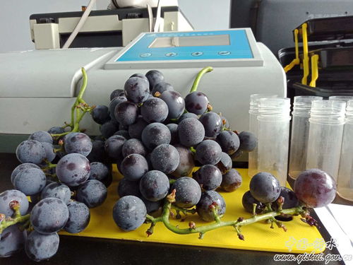 崔家峪镇七月份食品药品安全快检与安全检查工作简报